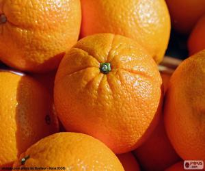 Puzzle Πορτοκάλια